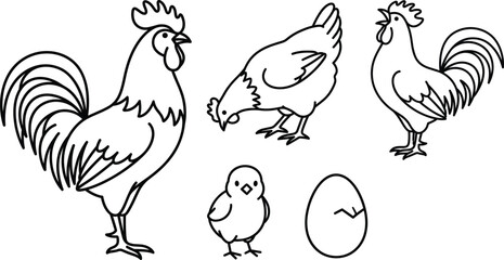 Chicken farm animals line art vector set with rooster hen chick cracked egg and crowing poultry illustrations © MDSAIFUL