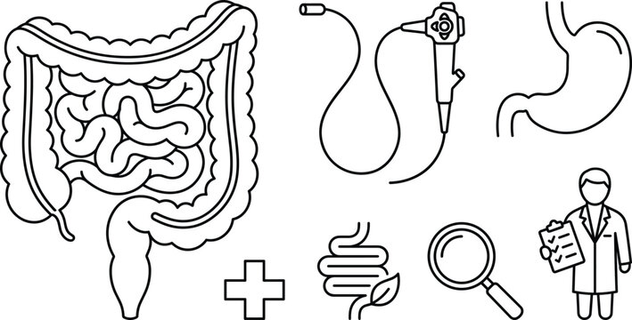 Gastroenterology digestive system endoscopy examination line art vector set with intestine stomach colonoscope and medical researcher icons