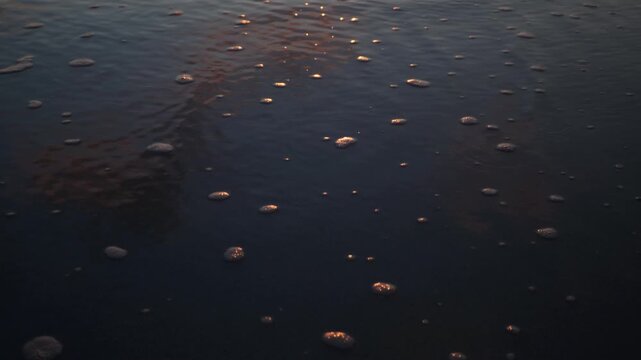 Shallow waves roll up a dark wet beach as sunset light glints off foam and ripples along the shoreline.
