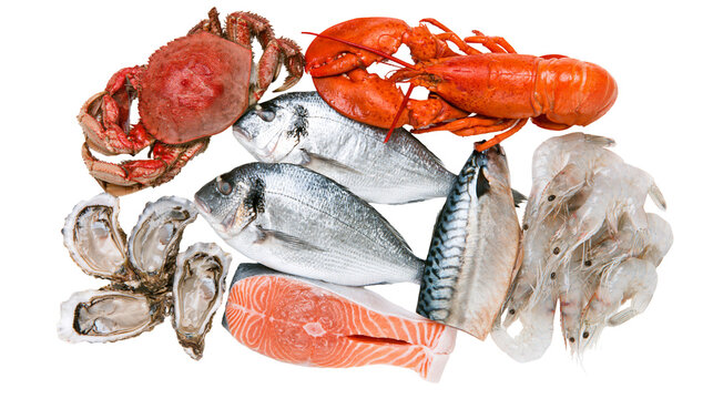 Assortment of fresh seafood including crab lobster fish oysters salmon, and shrimp