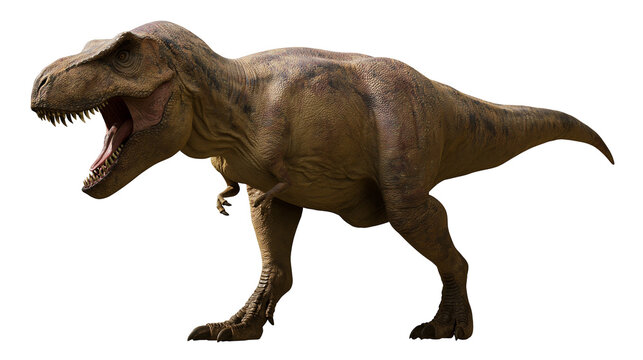 Tyrannosaurus Rex dinosaur roaring with mouth open