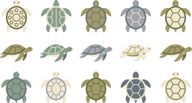 Set of flat vector icons depicting various sea turtles in different positions for marine life design projects