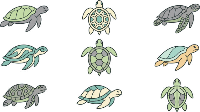 Set of flat vector illustrations of sea turtles in various poses, swimming, and top-down views for marine design.