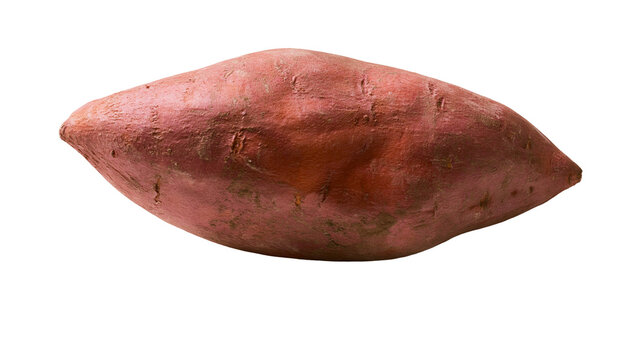 One whole raw sweet potato with reddish-brown skin