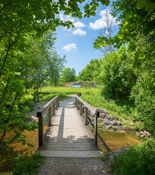 wooden small bridge over creek, landscape Maising. walkway framed with leaves
