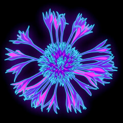 Obraz premium Neon pop art style illustration of a cornflower flower against a dark background, vibrant glowing colors, modern cyberpunk design element.
