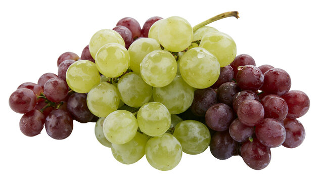 Red and green grapes cluster with water drops