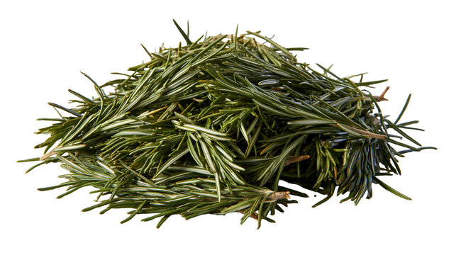 Pile of fresh green rosemary sprigs with needle-like leaves