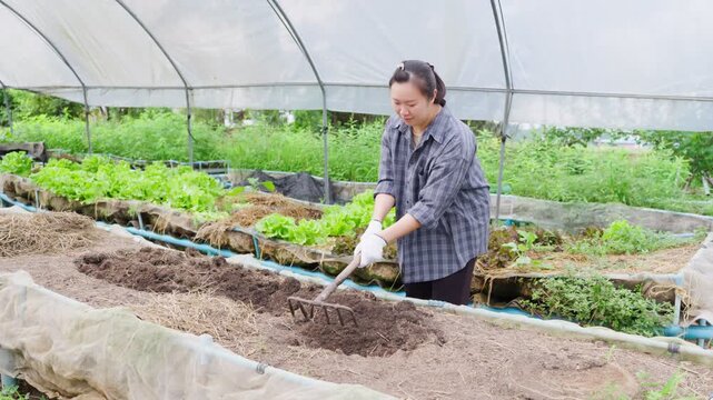 Happy Asian female farmer preparing organic soil with rake in greenhouse for vegetable cultivation