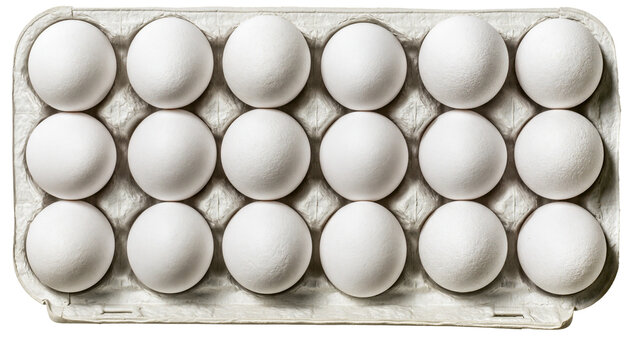 White chicken eggs in cardboard carton