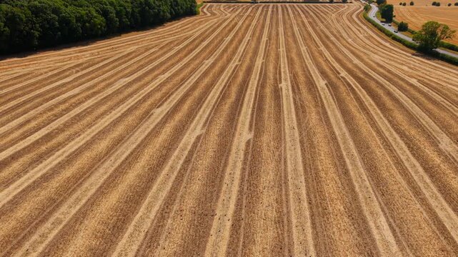 Harvested rapeseed field from above. Agricultural stubble pattern across arable farmland after crop harvesting with rural landscape and forest edge. Precision farming background for post harvest