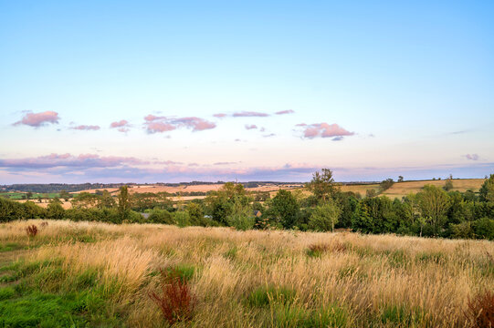 Rolling countryside with dry meadow grass and distant trees beneath a blue summer sky