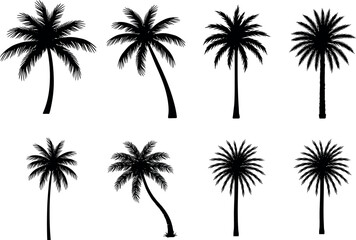 Fototapeta premium Title: Palm tree silhouette collection vector illustration set isolated on white background for tropical travel and summer design