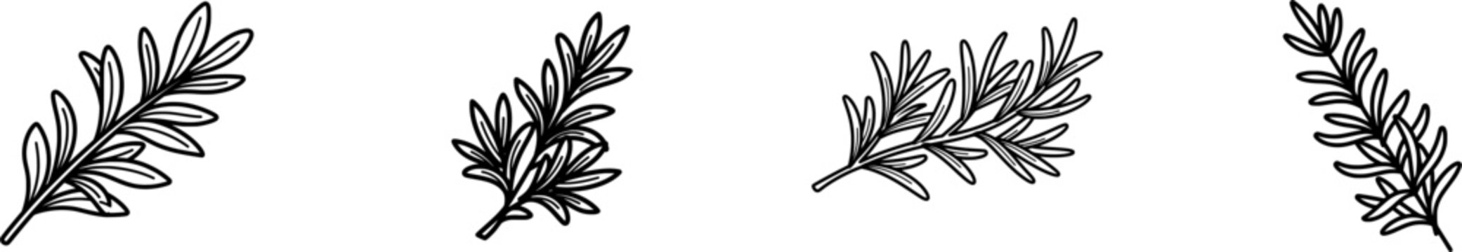 A minimalist black outline of a sprig of fresh rosemary is displayed against a pure white background in a flat vector design