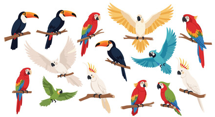 Fototapeta premium Various tropical birds including colorful macaws, toucans, and cockatoos perched on branches or flying in wild.