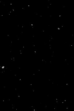 Light snowfall on black background, visual overlay layer for compositing.