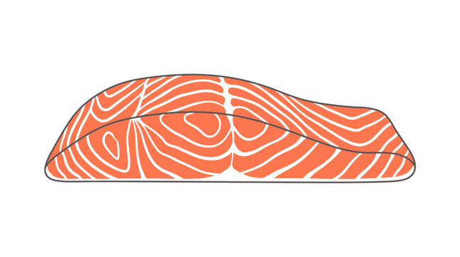Fresh salmon fish fillet featuring vibrant orange flesh and white marbled fat lines rendered in a clean minimalist vector style