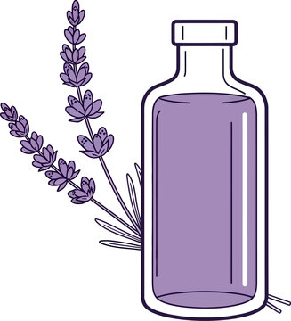 Lavender Essential Oil Bottle Vector Illustration
