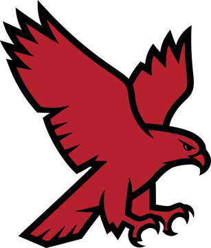 Red hawk mascot logo vector illustration