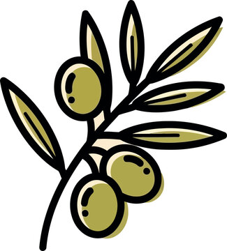 Olive branch vector illustration