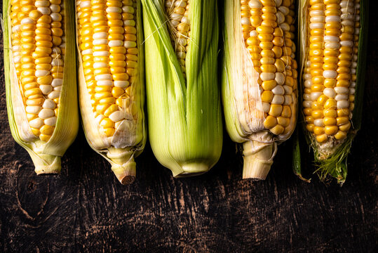 Raw uncooked fresh corn. Healthy food