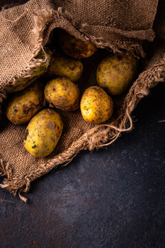 Raw uncooked potato on dark background
