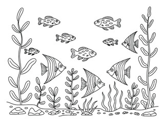 Página para colorear en blanco y negro con peces tropicales y algas marinas © Biplob