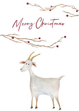 Watercolor illustration cartoon white goat symbol 2027 year. Christmas card design with handwritten Merry Christmas and burgundy-colored pip berries on thin twig-like branches.