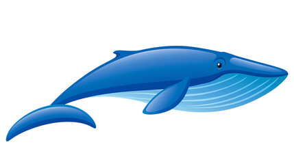 Blue whale with wavy lines on its underside © Andrei