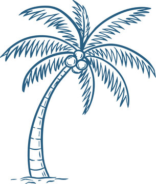 Coconut palm tree sketch. Hand drawn tropical palm on sand outline illustration. Botanical line art engraved vector element for summer beach resort design.