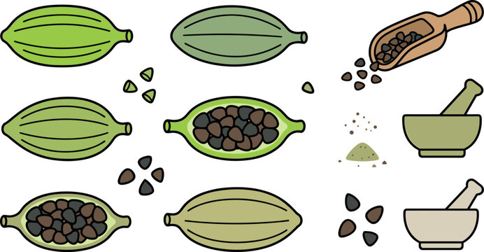 Green Cardamom Pods and Seeds Vector Set with Wooden Scoop, Powder, Mortar, and Pestle Kitchen Herb Spice Icons