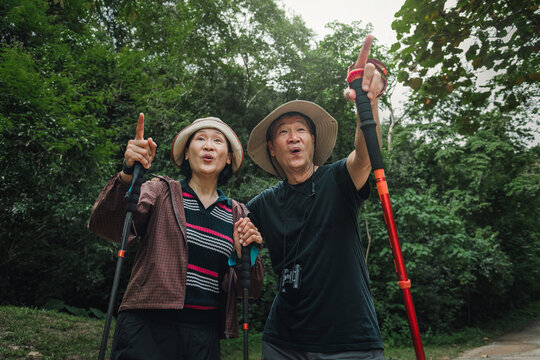 Elderly couple raising trekking poles and pointing forwards together with surprise facial expression while hiking in forest, sharing healthy happiness body language through nature discovery activity