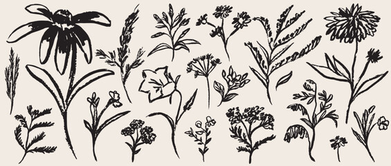 Obraz premium Grunge minimal charcoal chalk summer autumn flowers. Ink hand drawn wild garden herb set in wax crayon drawing style vector illustration. Floral silhouette elements for scrapbooking or journal design.