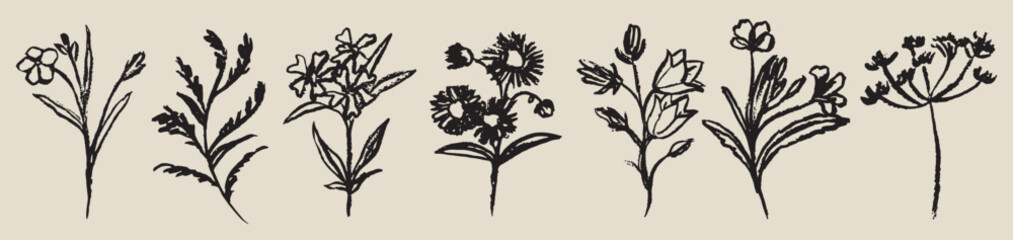 Obraz premium Grunge minimal charcoal chalk summer autumn field flowers. Ink hand drawn wild garden herb set in wax crayon drawing style vector illustration. Floral silhouette elements for scrapbook journal design.