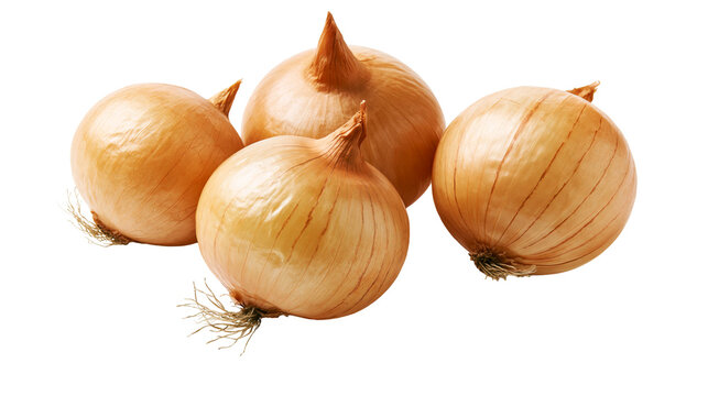 Four whole yellow onions with papery skin and roots