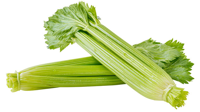 Fresh green celery stalks with leaves
