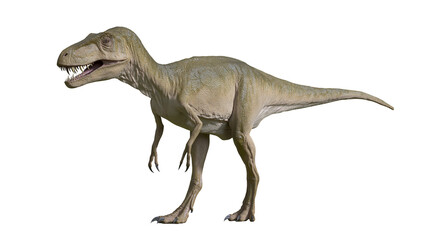 Fototapeta premium Carnivorous dinosaur with sharp teeth and claws, standing on hind legs