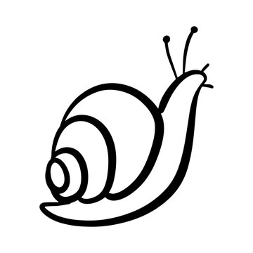 Doodle snail character illustration with spiral shell. Black outline sketch for nature-inspired designs, stickers, and posters. Flat vector isolated on white background.