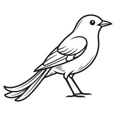 Obraz premium Small songbird coloring page featuring simple black outline for educational purpose.