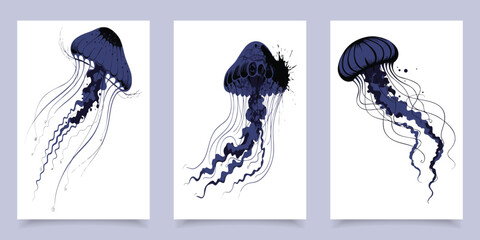 Set of jellyfish illustrations dark blue medusa sea life vector isolated on white background. © Shofikul islam