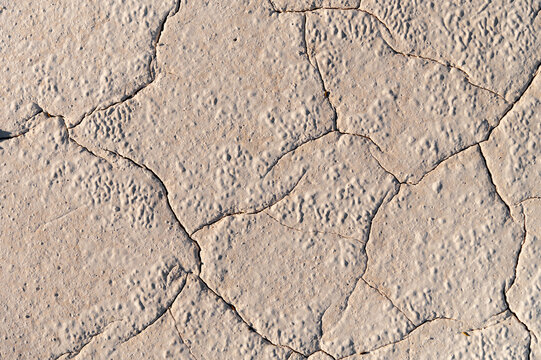 Cracked chalky surface texture with light beige and lime tones