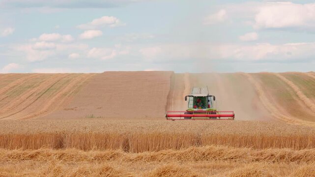 combine harvesters working in a golden wheat field during harvest season