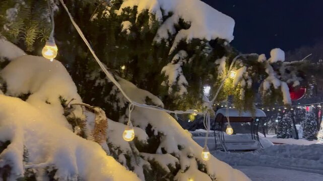 Close-up of snow-covered Cristmas pine tree with glowing string lights panning to a festive winter park at night