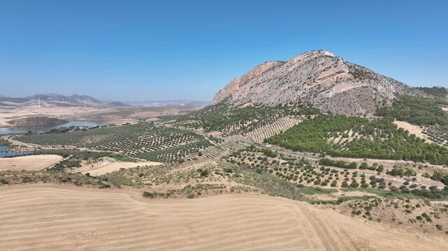 campo de siembra de cereal ya recogido y segado en Andaluc&iacute;a	