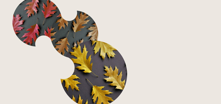 Abstract autumn leaves background, minimalist modern style. Red oak leaves, colorful, isolated linked objects. Earthy paint palette, autumn fall concept. Image manipulation, negative space