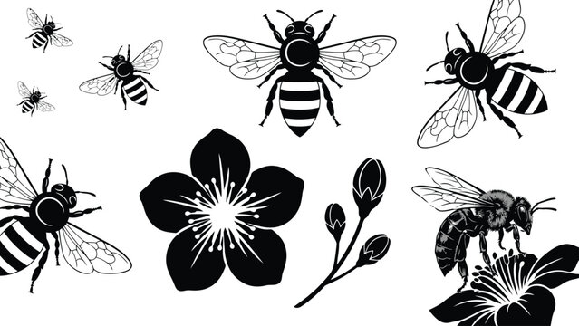 Conjunto en blanco y negro de abejas y flores de primavera