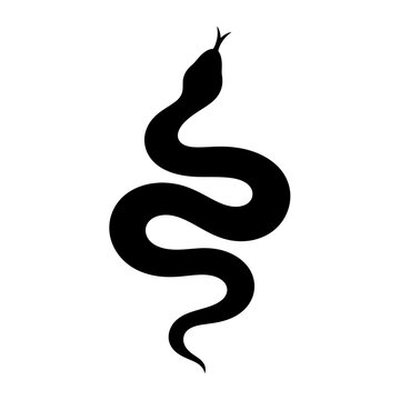 Snake silhouette with tongue out vector illustration. Crawling serpent icon for logo design.
