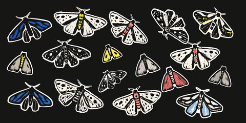 Various moth illustrations hand drawn vector style on black background © Hridoy