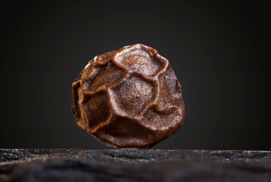 Single Black Peppercorn Standing on Dark Background