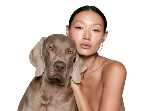 Beautiful Asian woman posing with a Weimaraner dog isolated on transparent or white background, png
